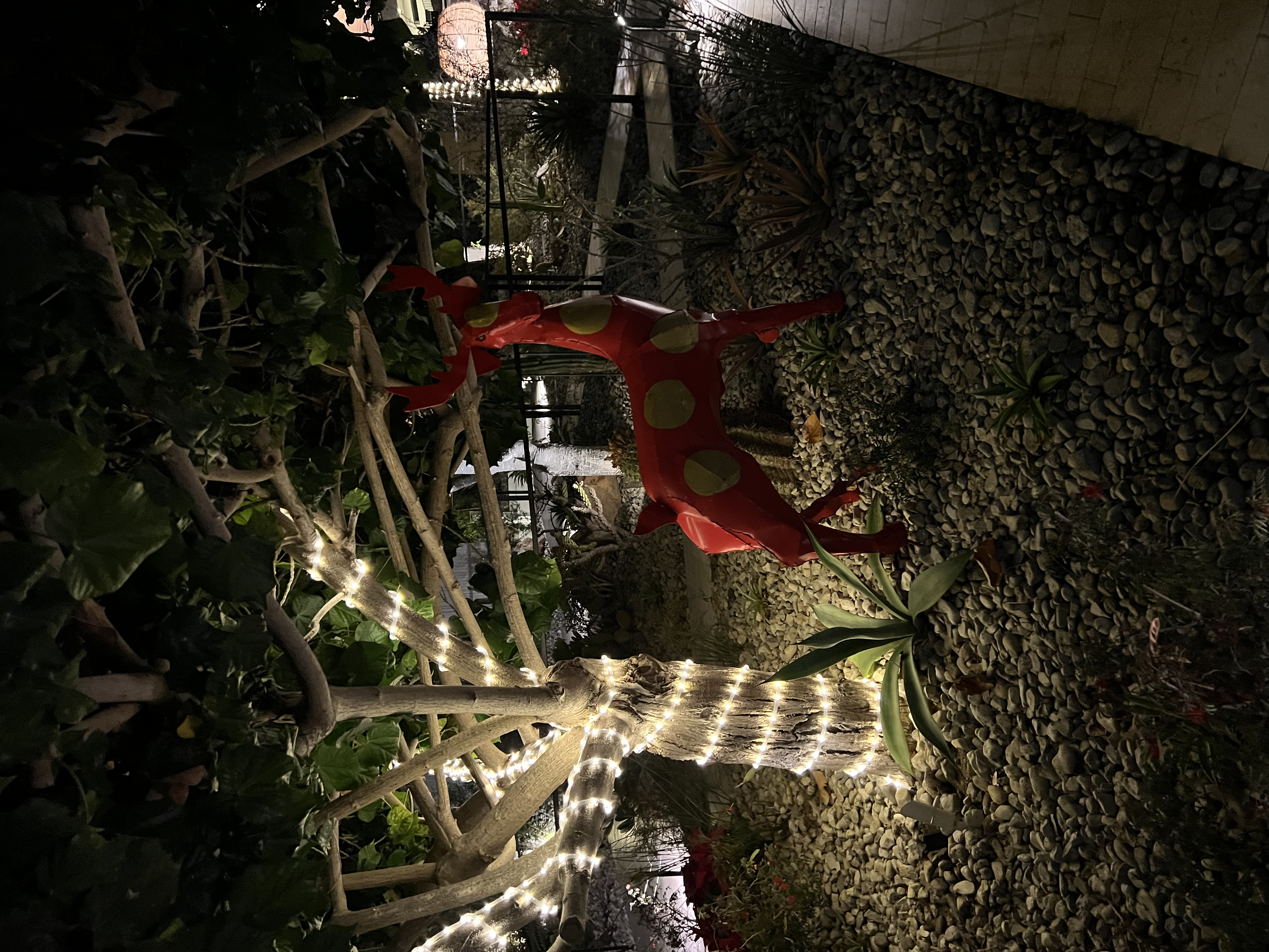 ./2024/13 - Cabo/IMG_4180.jpg